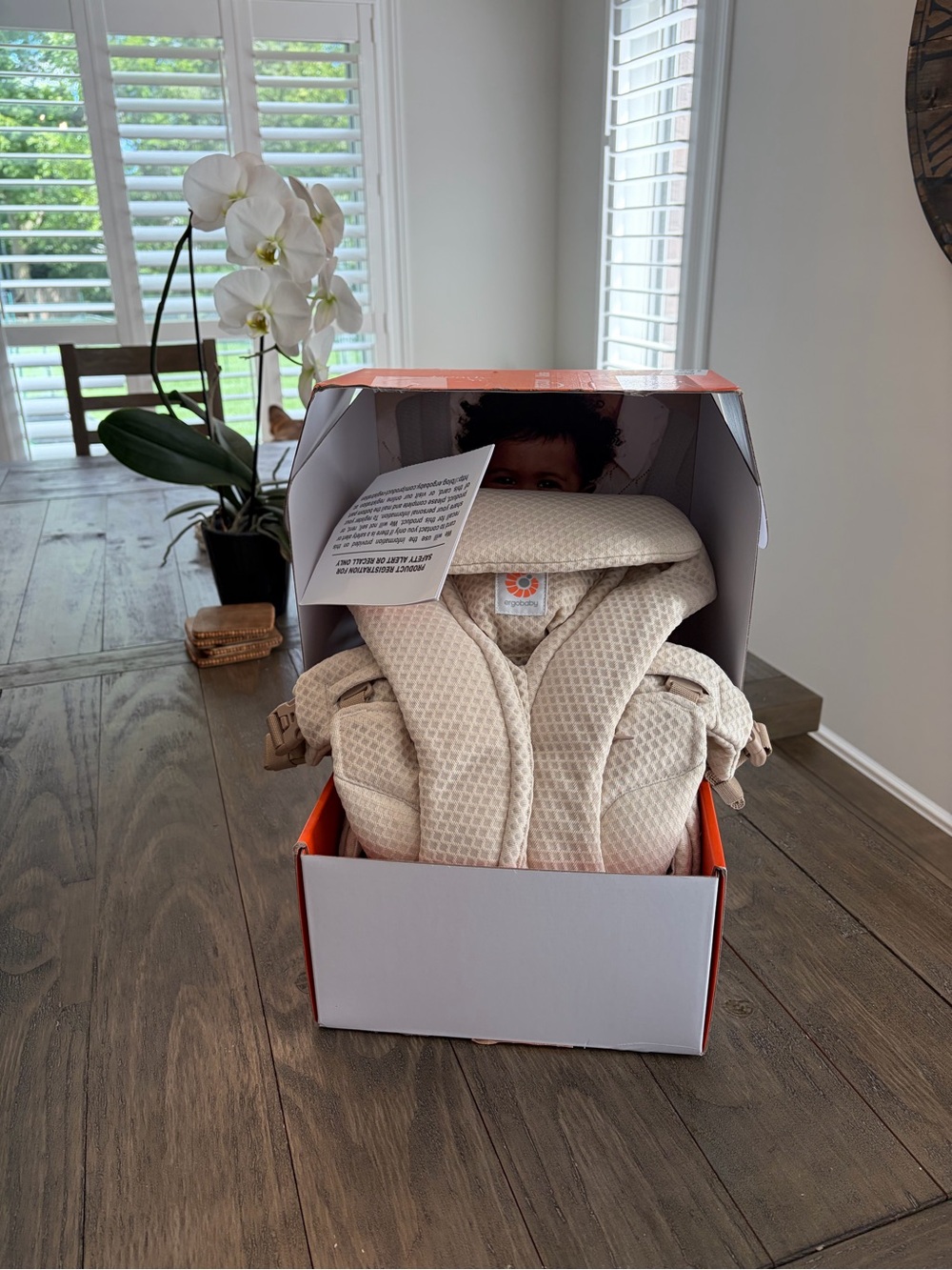 Ergobaby Omni Deluxe in Cream NWT